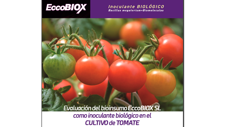 EccoBIOX, Inoculante Biológico Bacillus megaterium + Biomoleculas
